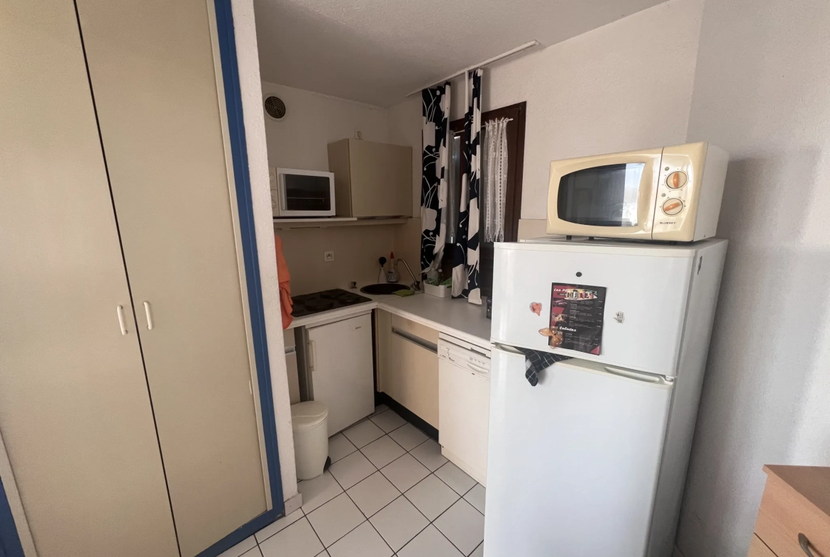 Appartement 2 pièces avec terrasse et vue sur lac, montagne à Le Barcarès 