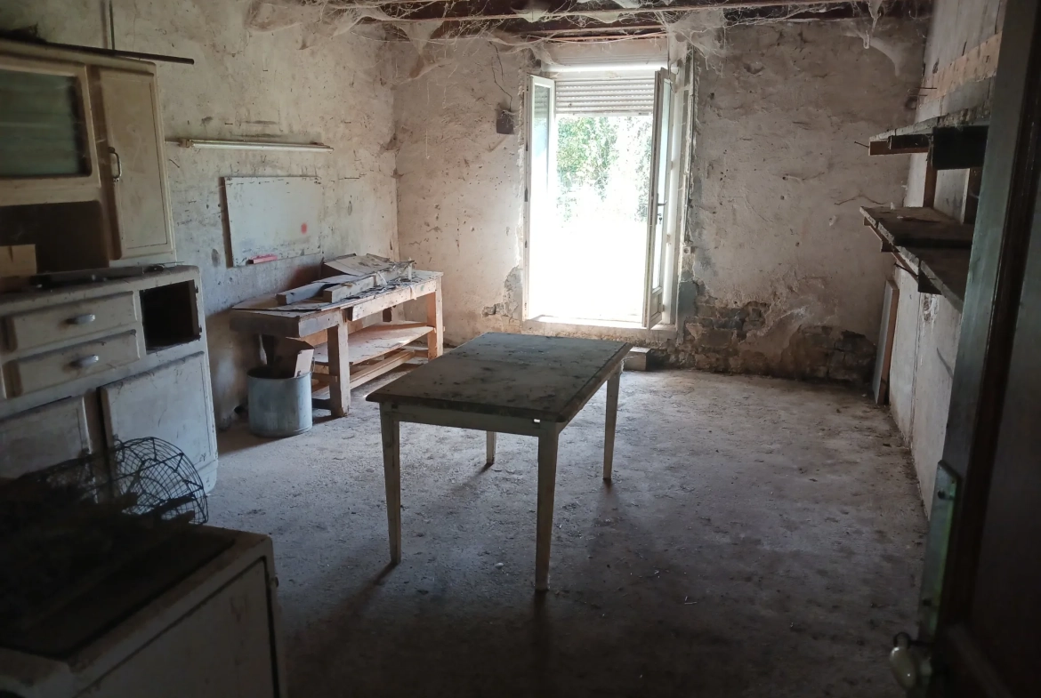Ensemble immobilier à Gevigney-et-Mercey avec fort potentiel de rénovation 
