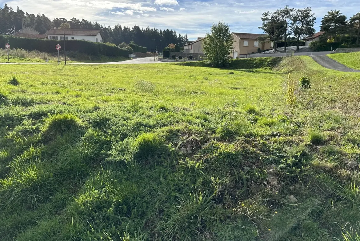 Terrain constructible de 1574 m² à Montfaucon-en-Velay - Exposition ouest, sans constructeur 