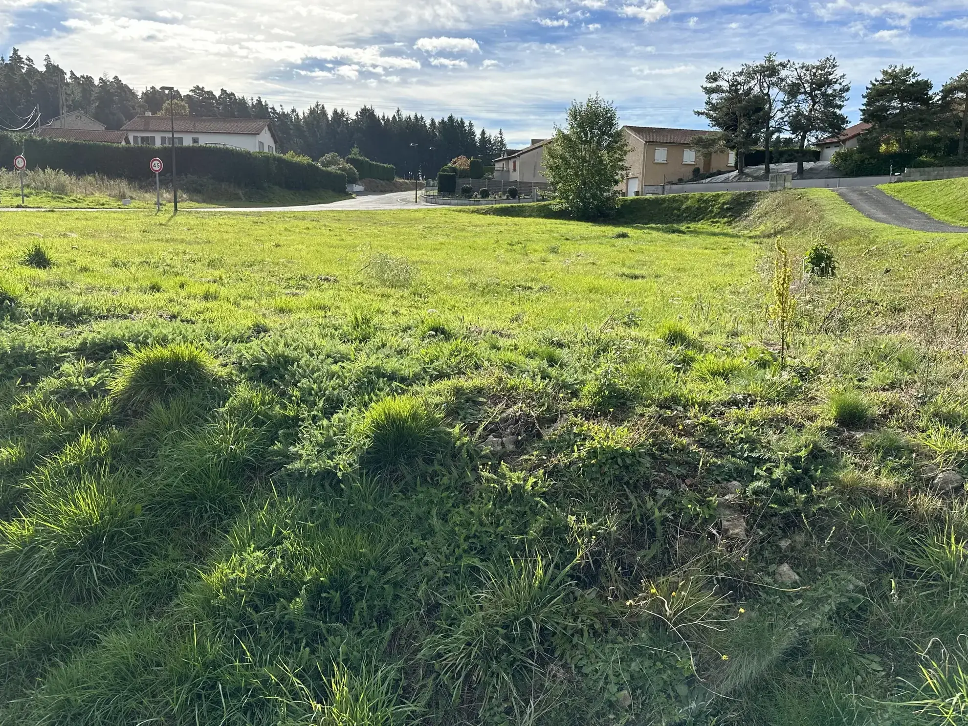 Terrain constructible de 1574 m² à Montfaucon-en-Velay - Exposition ouest, sans constructeur 