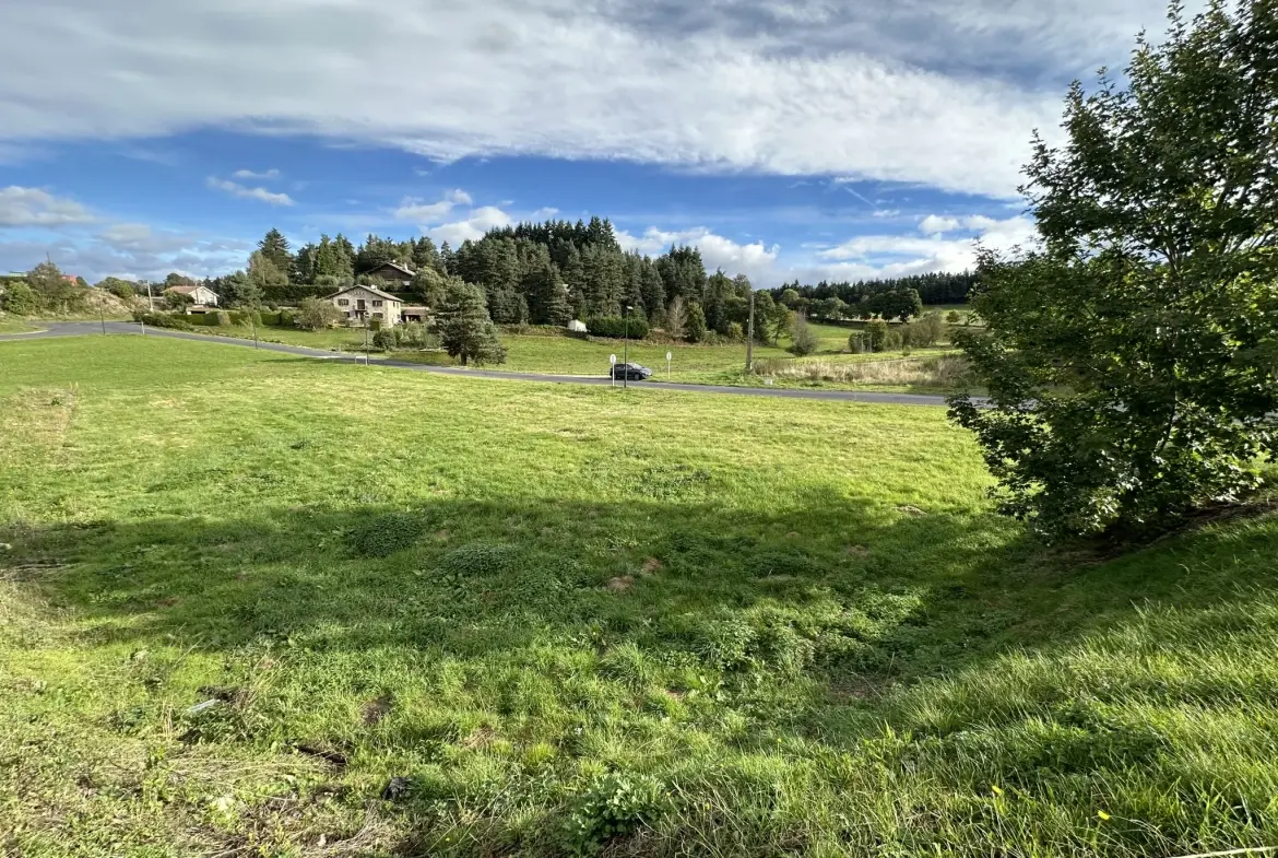Terrain constructible de 1574 m² à Montfaucon-en-Velay - Exposition ouest, sans constructeur 
