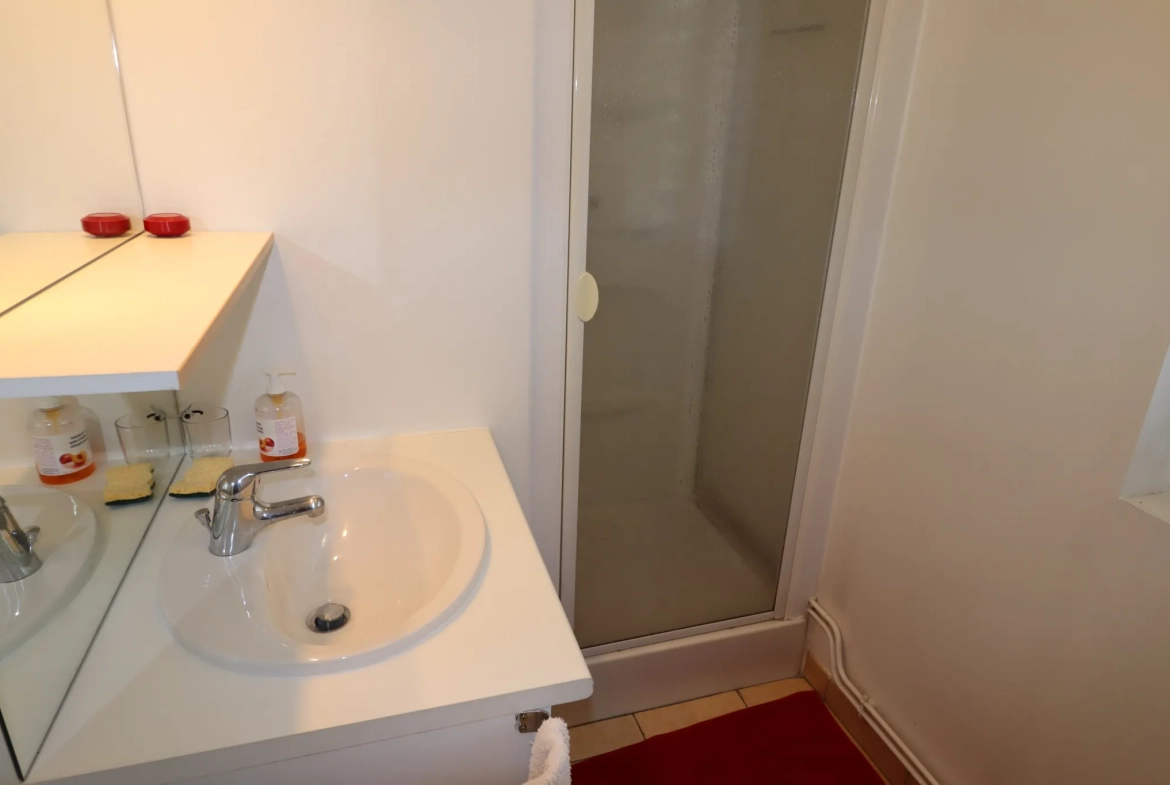 Appartement 3 pièces rénové avec vue montagne à Allos 