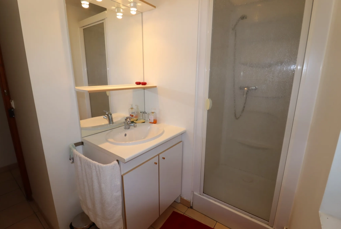 Appartement 3 pièces rénové avec vue montagne à Allos 