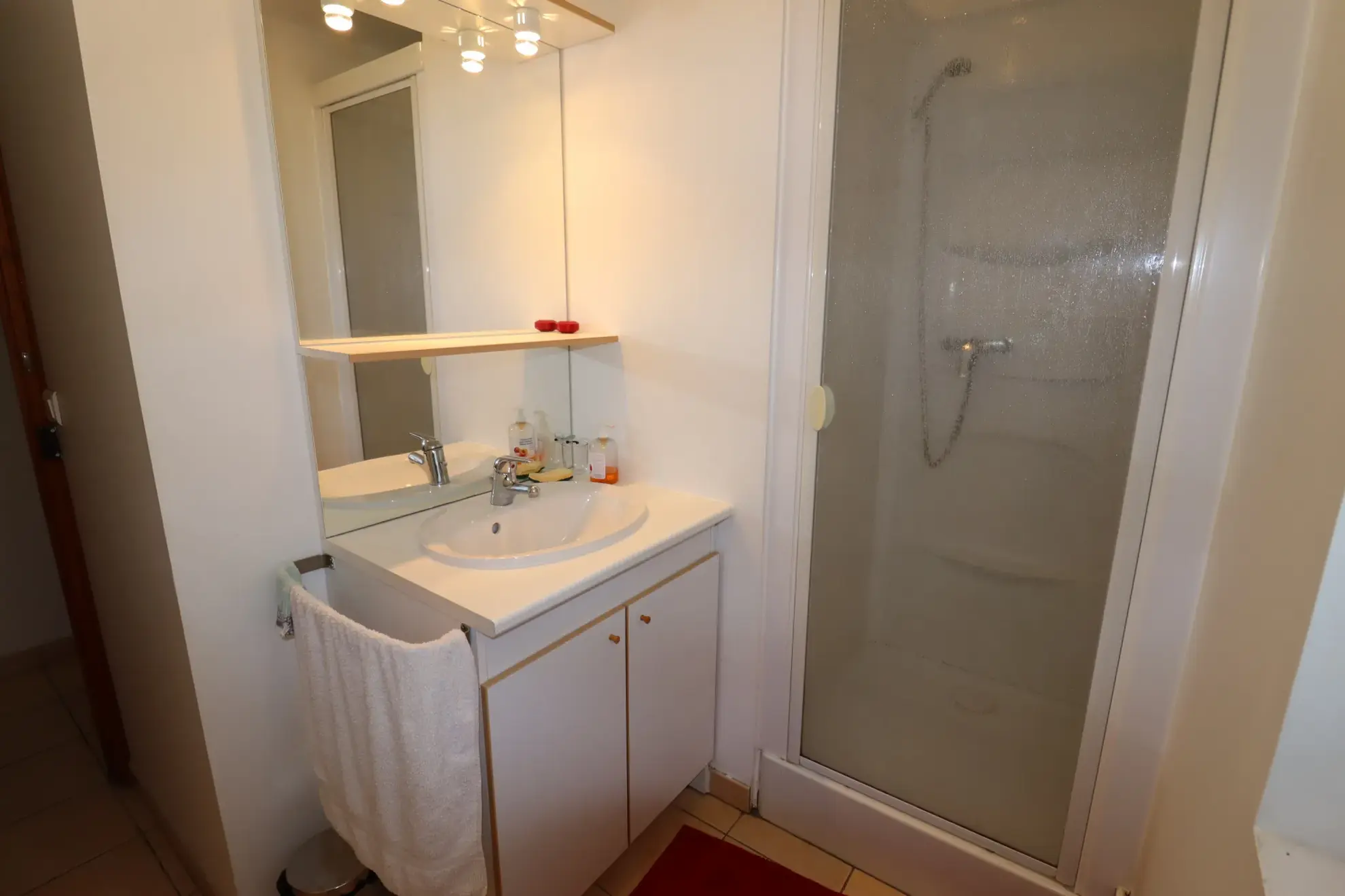 Appartement 3 pièces rénové avec vue montagne à Allos 