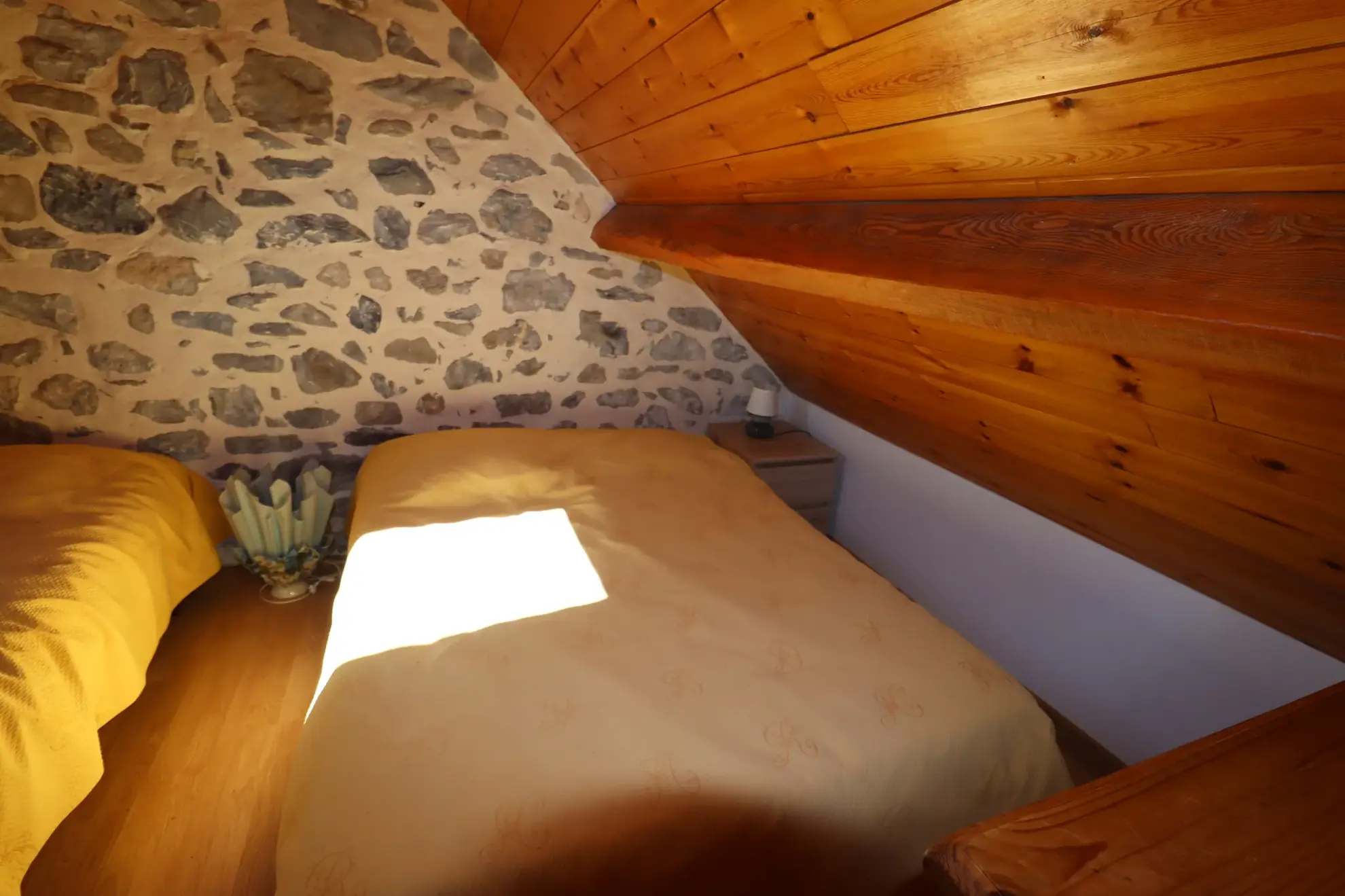 Appartement 3 pièces rénové avec vue montagne à Allos 