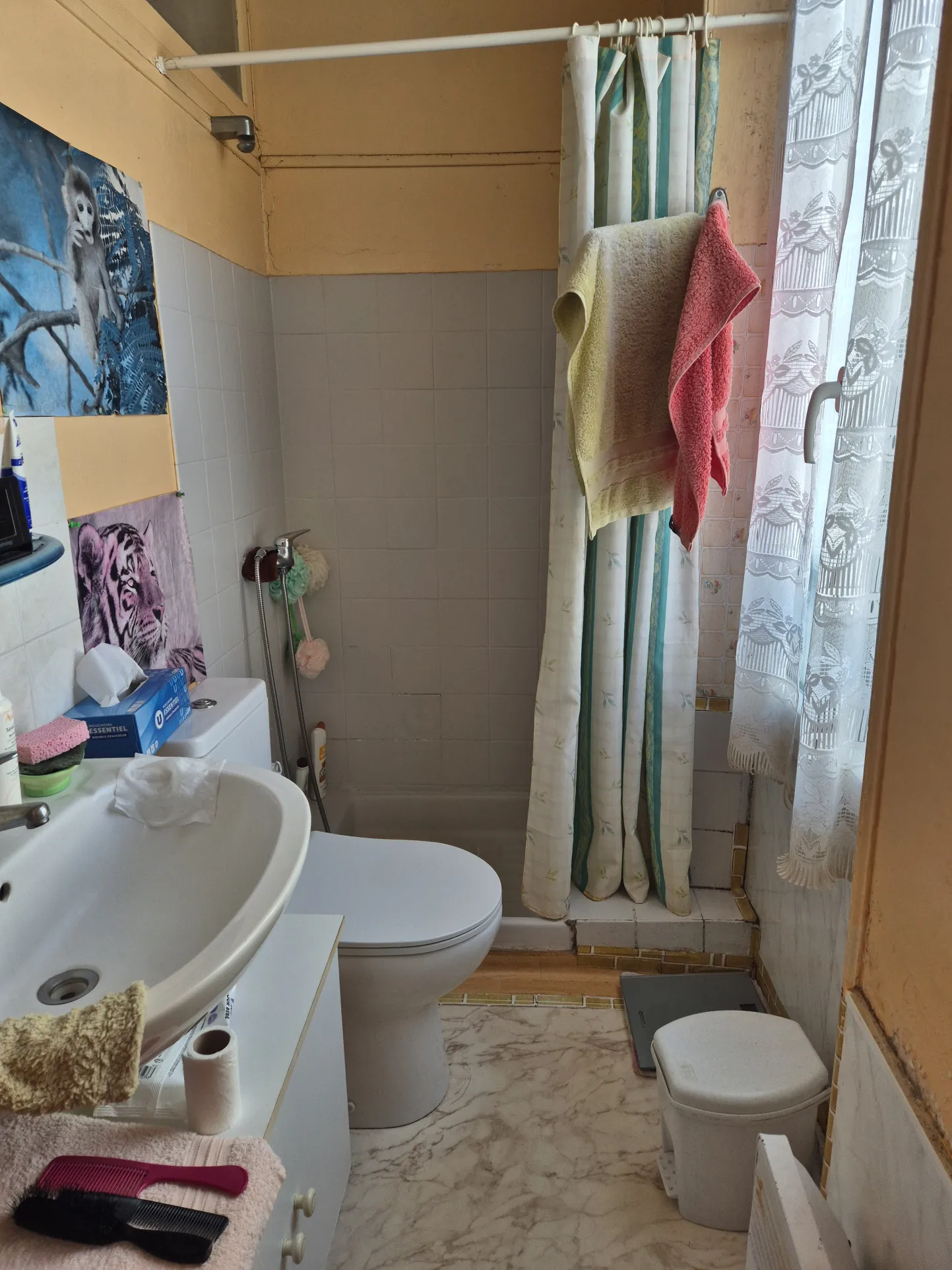 Immeuble résidentiel à vendre au centre-ville de Fouras avec deux logements 