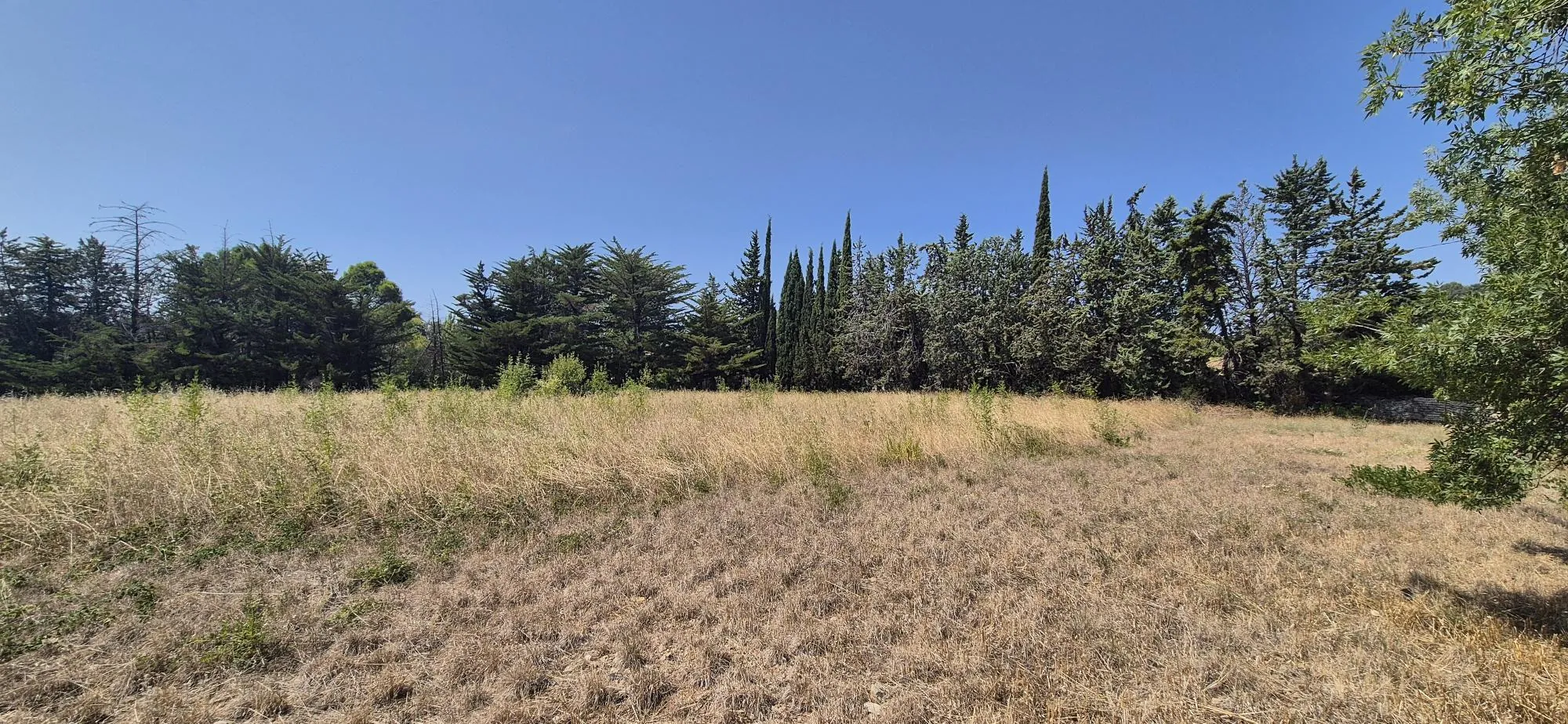 Terrain constructible de 457 m² à Clermont l'Hérault dans un quartier résidentiel calme 