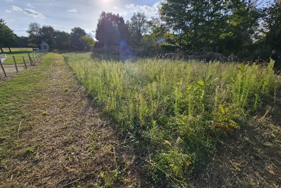 Terrain à bâtir de 1332 m² en zone UB et A à Le Blanc, Prix attractif 