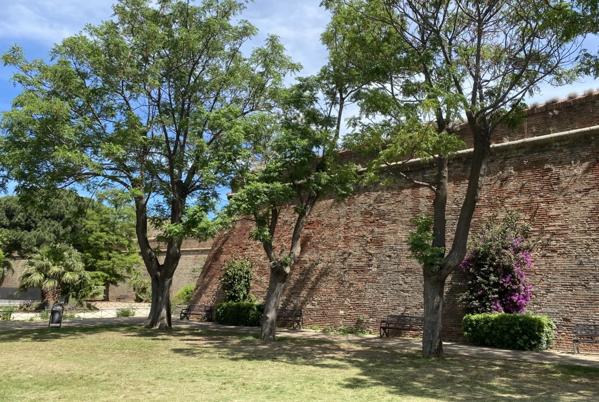 Appartement T3 spacieux et lumineux à Perpignan, avec cave et parking sécurisé 