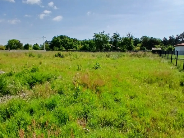 Terrain constructible à Orléat - Parcelle de 1405 m² à vendre