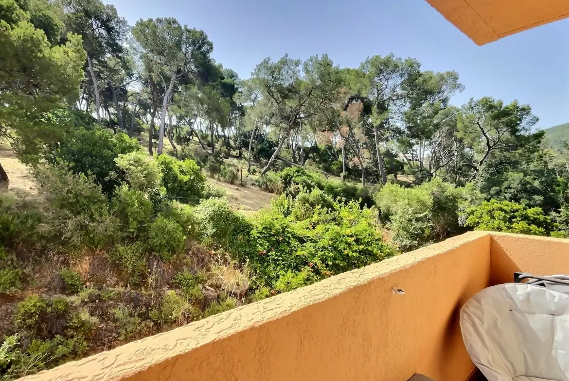 Appartement 5 pièces avec vue dégagée à Costebelle, Hyères 