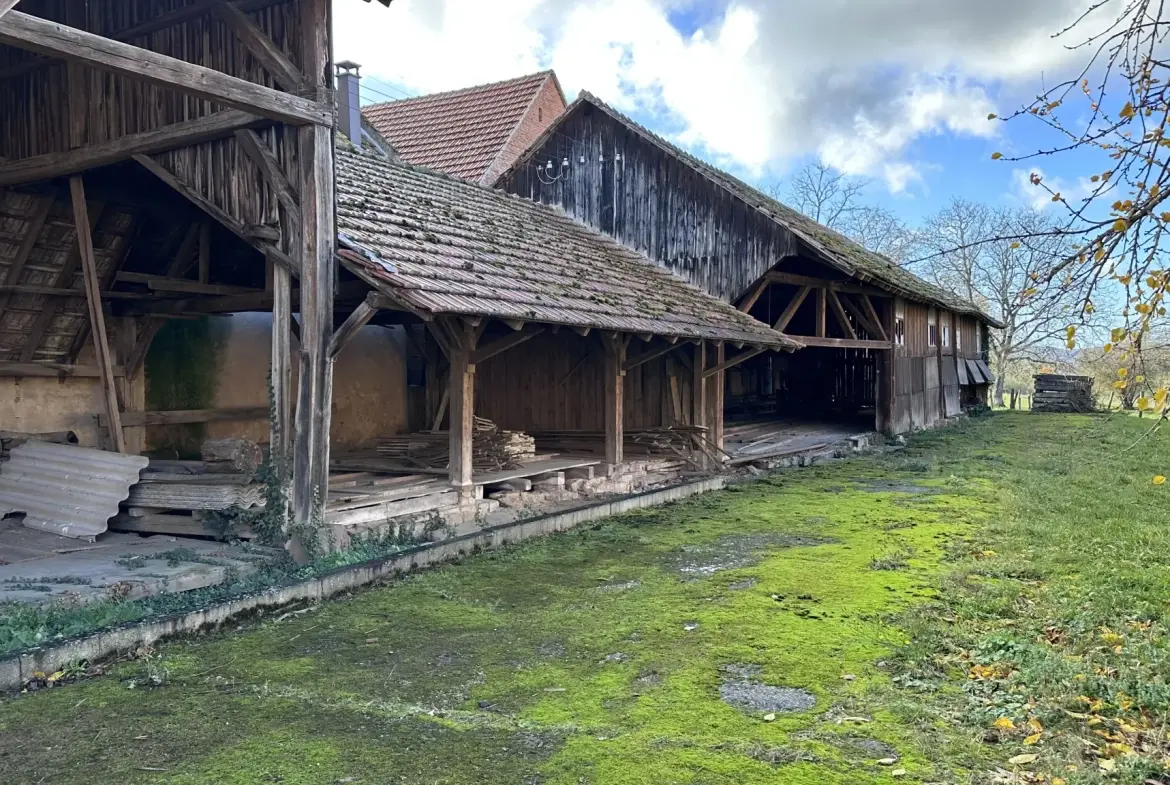 Terrain constructible à Altenheim avec dépendance, proche Saverne et Strasbourg 