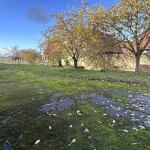 Terrain constructible à Altenheim avec dépendance, proche Saverne et Strasbourg