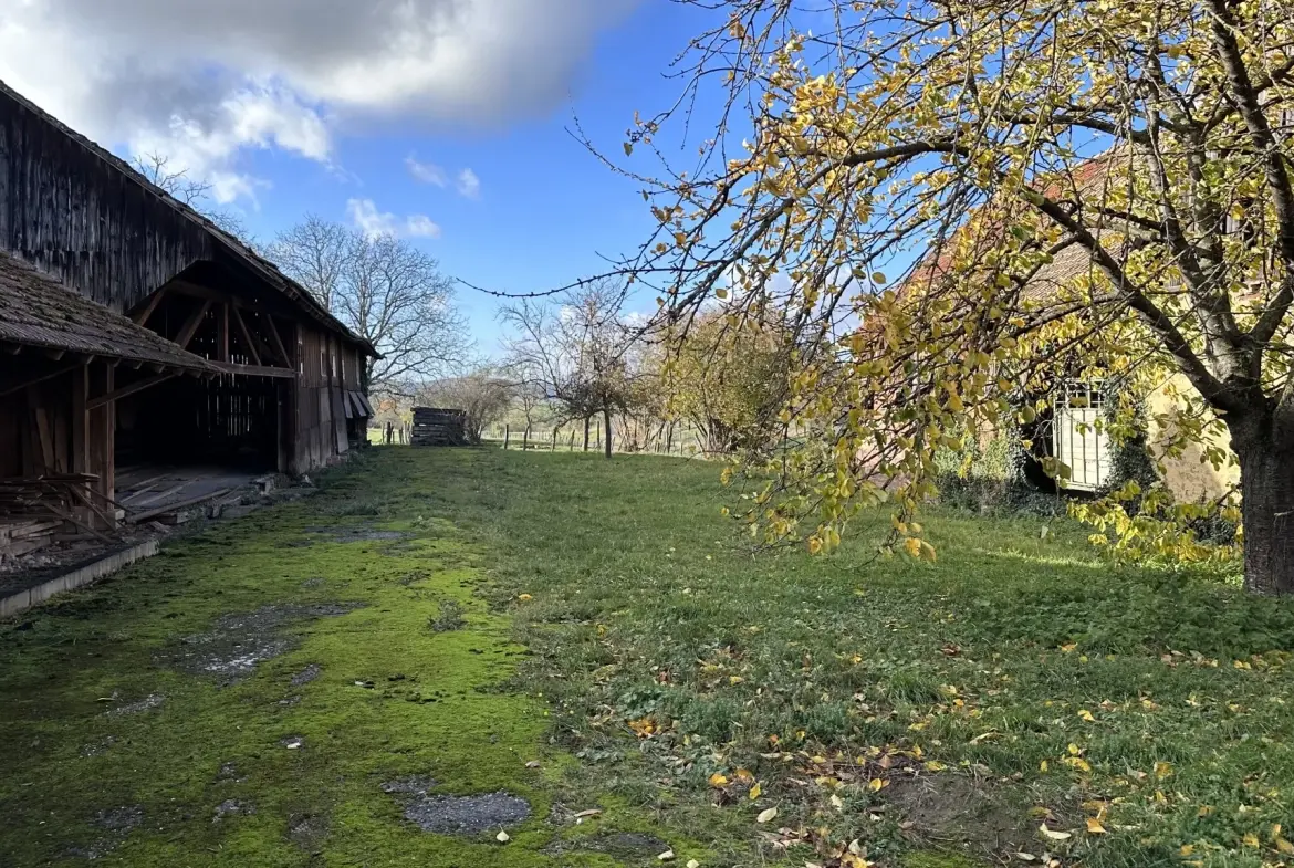Terrain constructible à Altenheim avec dépendance, proche Saverne et Strasbourg 