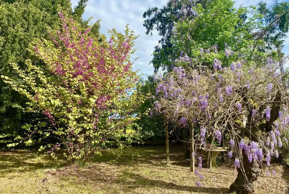 Maison familiale de 174 m² à Saint Paul de Serre avec terrasse et terrain de 3874 m² 