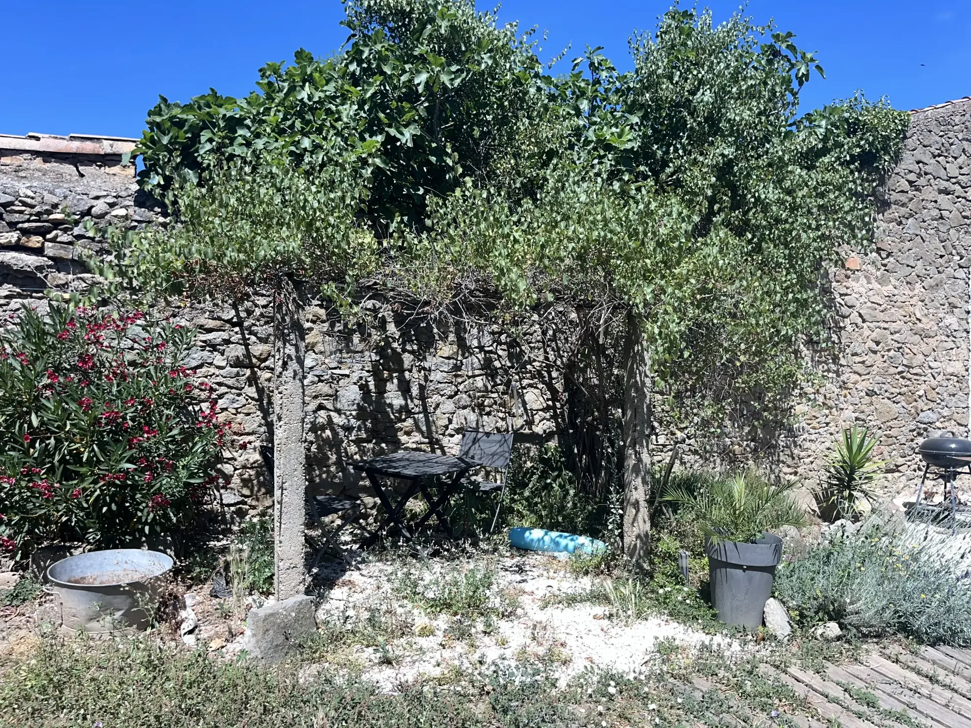 Maison de village 3 faces avec jardin à Puicheric, proche Carcassonne 