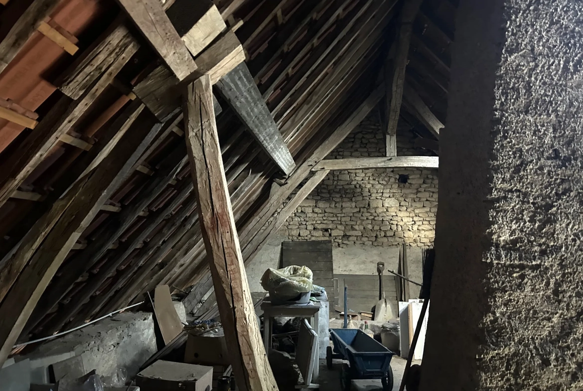 Maison double avec terrain de 3310 m² entre Guerrigny et Premery 