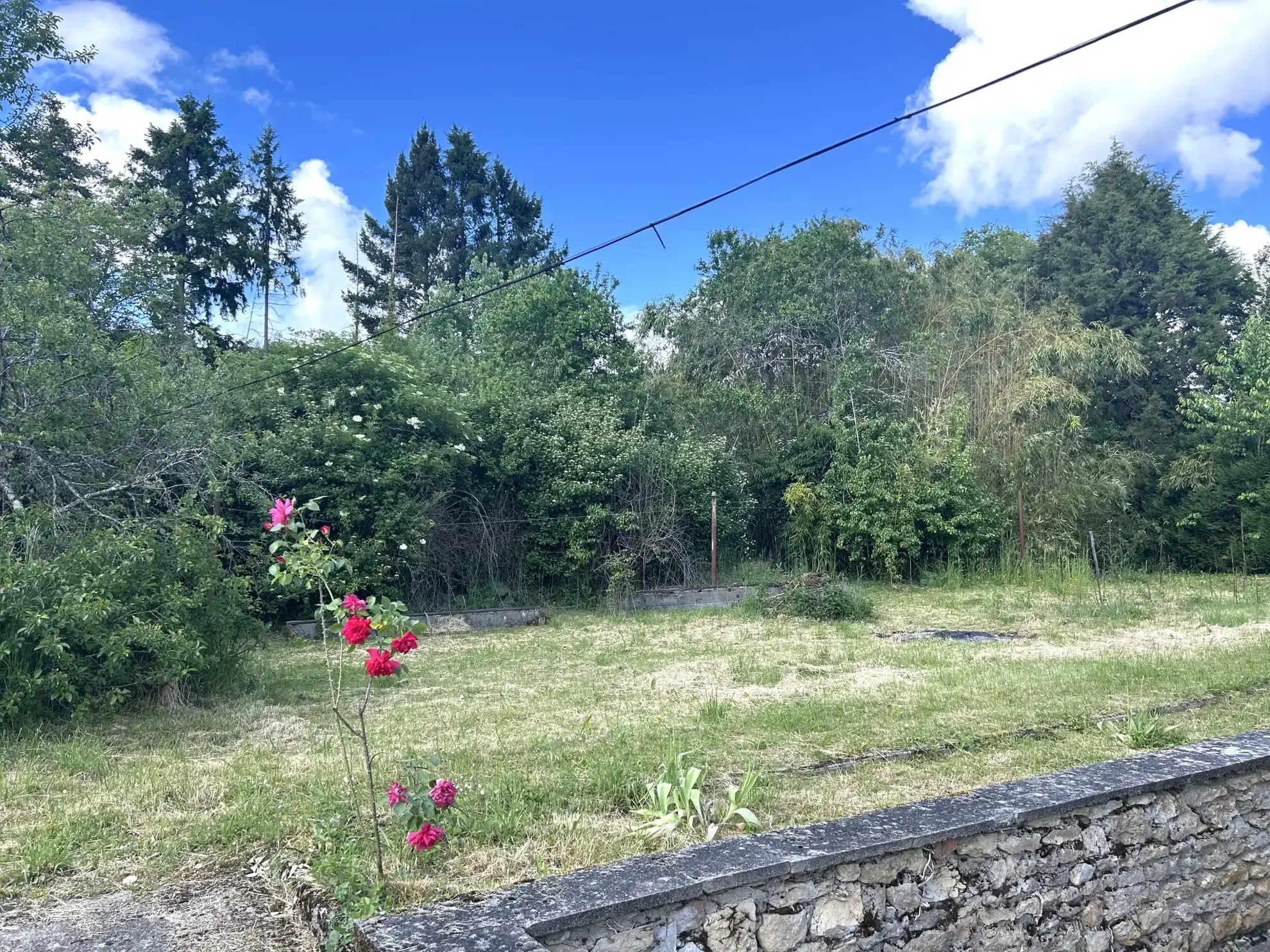 Maison double avec terrain de 3310 m² entre Guerrigny et Premery 