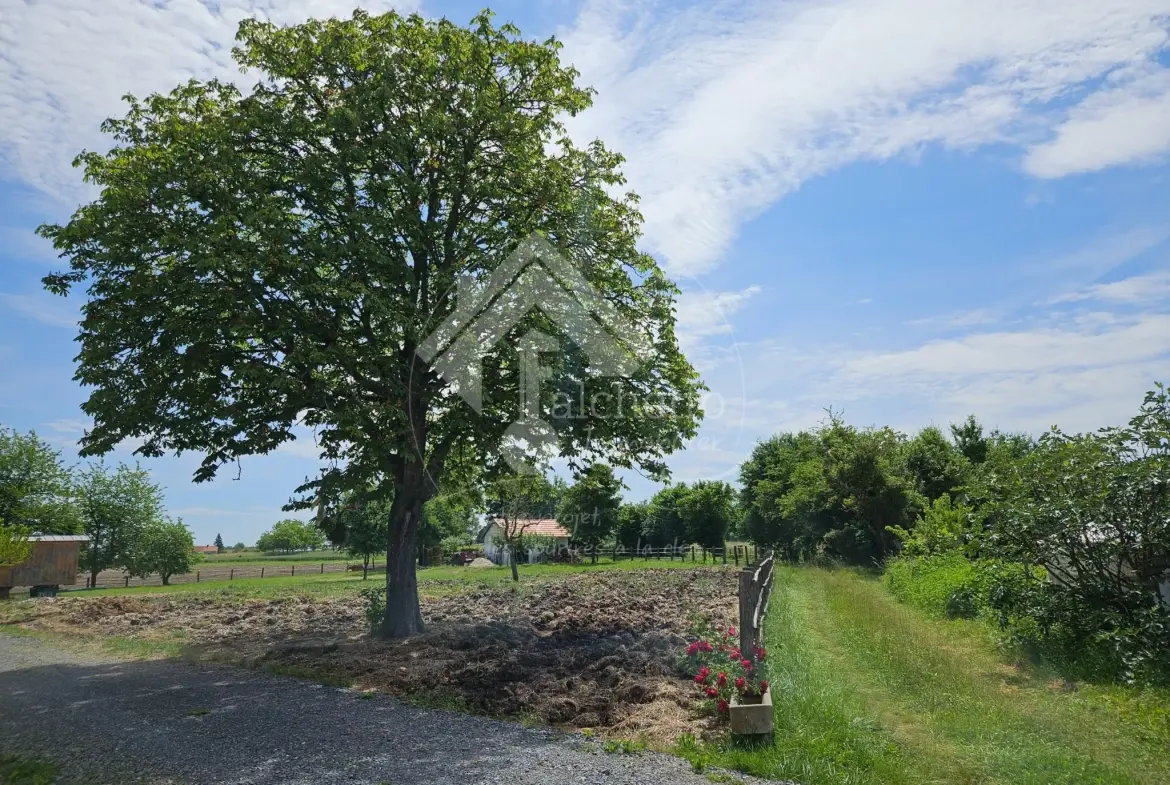 Maison de plain-pied à Jaligny-sur-Besbre avec terrain de 2715 m² 