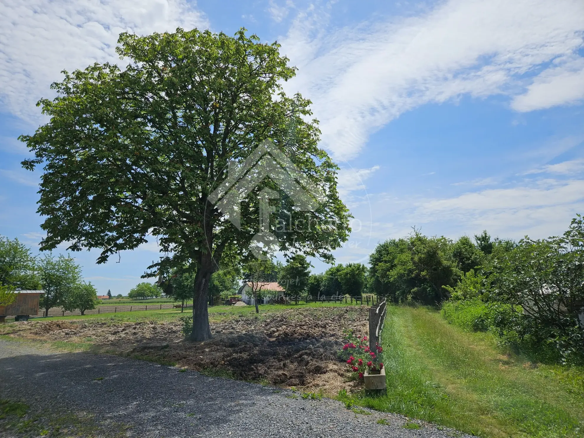 Maison de plain-pied à Jaligny-sur-Besbre avec terrain de 2715 m² 