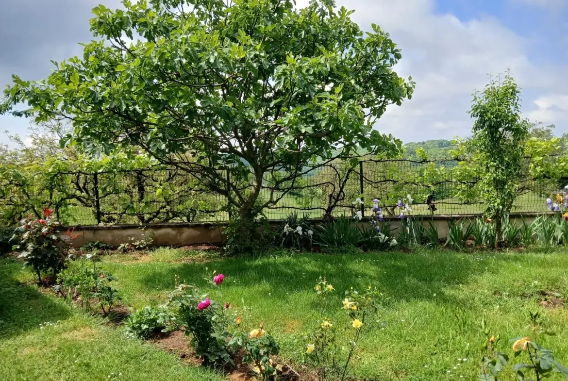 Ensemble immobilier de deux maisons à Chenailler-Mascheix avec terrain et vue panoramique 
