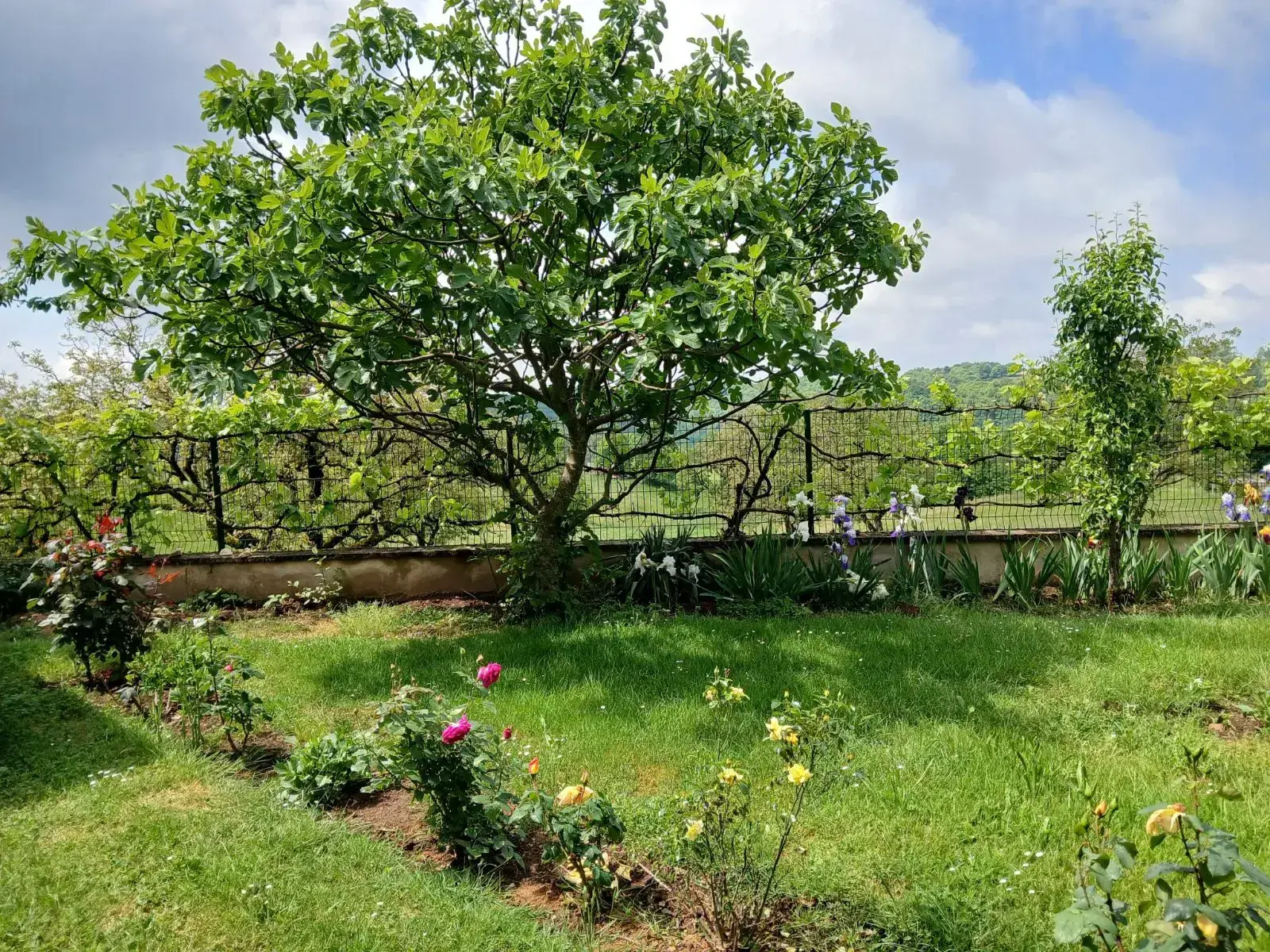 Ensemble immobilier de deux maisons à Chenailler-Mascheix avec terrain et vue panoramique 