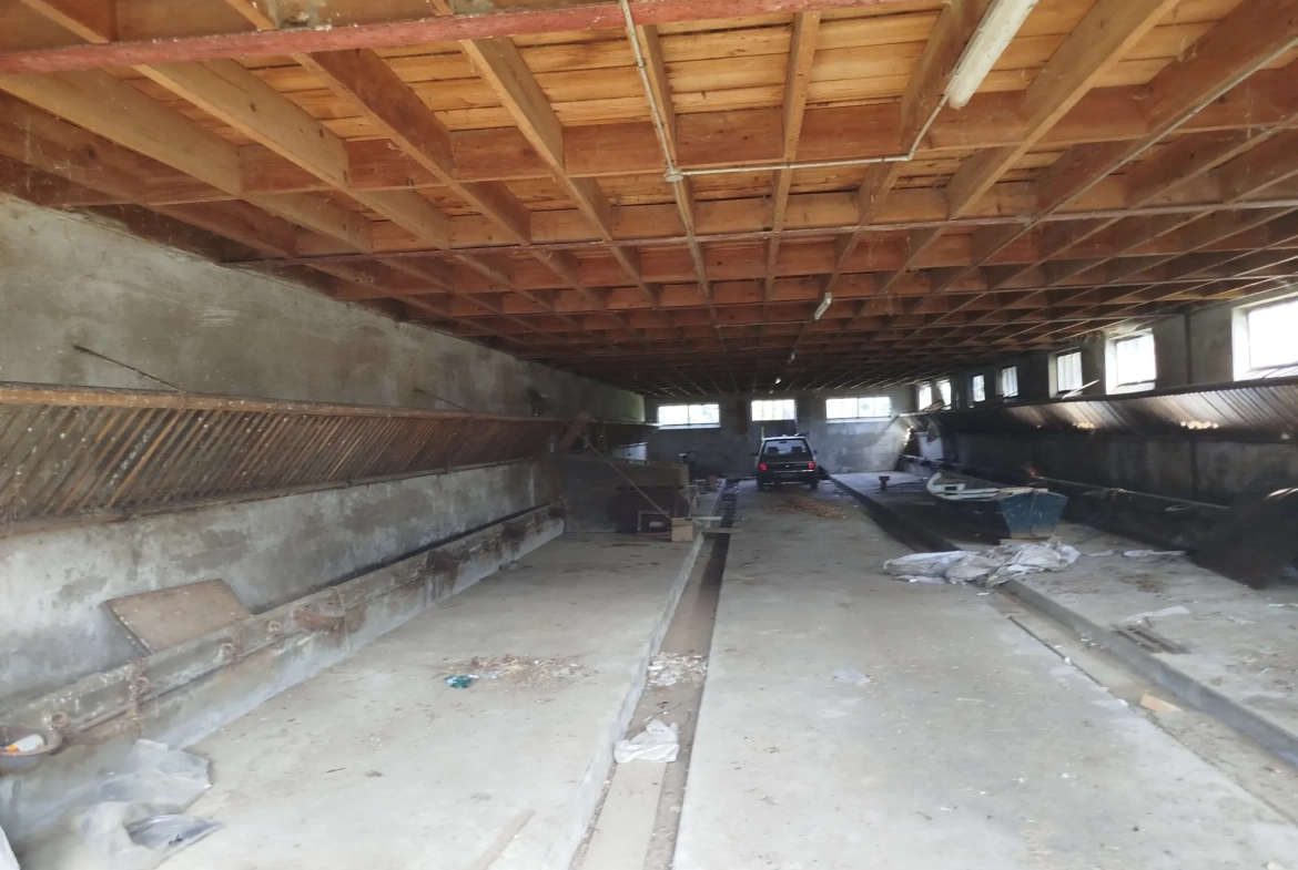 Ferme à rénover avec grand terrain à Romenay - Opportunité à Pont de Vaux 