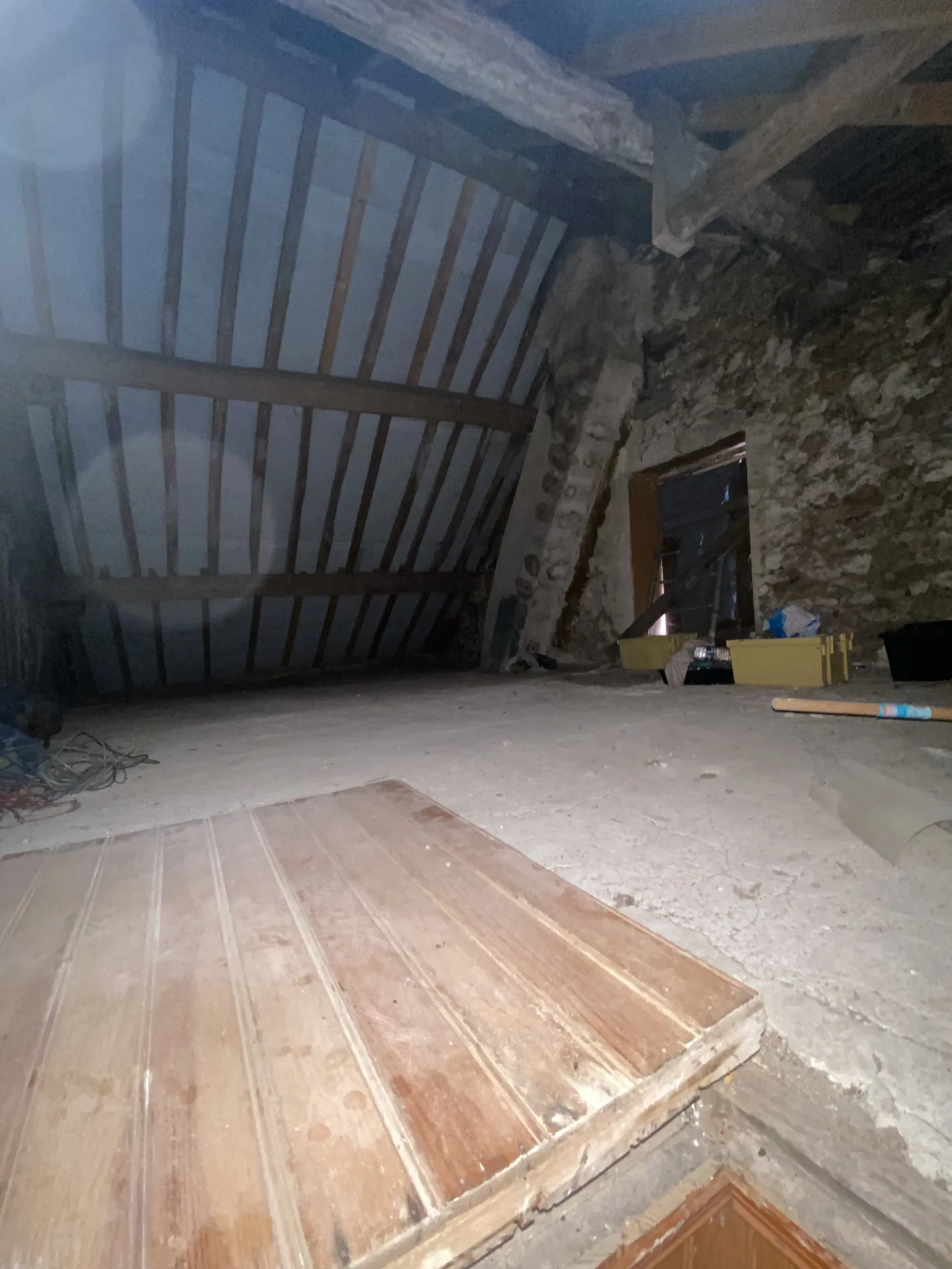 À vendre maison briarde à Jouy-sur-Morin - 171 m² à rénover, grand terrain 