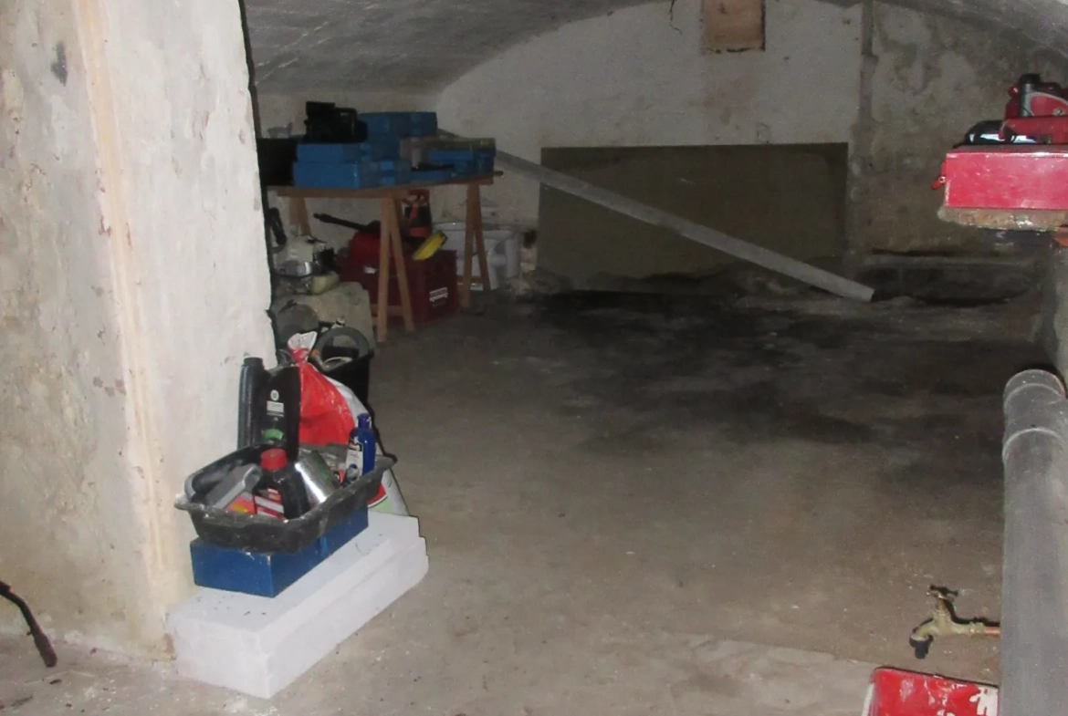 À vendre maison briarde à Jouy-sur-Morin - 171 m² à rénover, grand terrain 