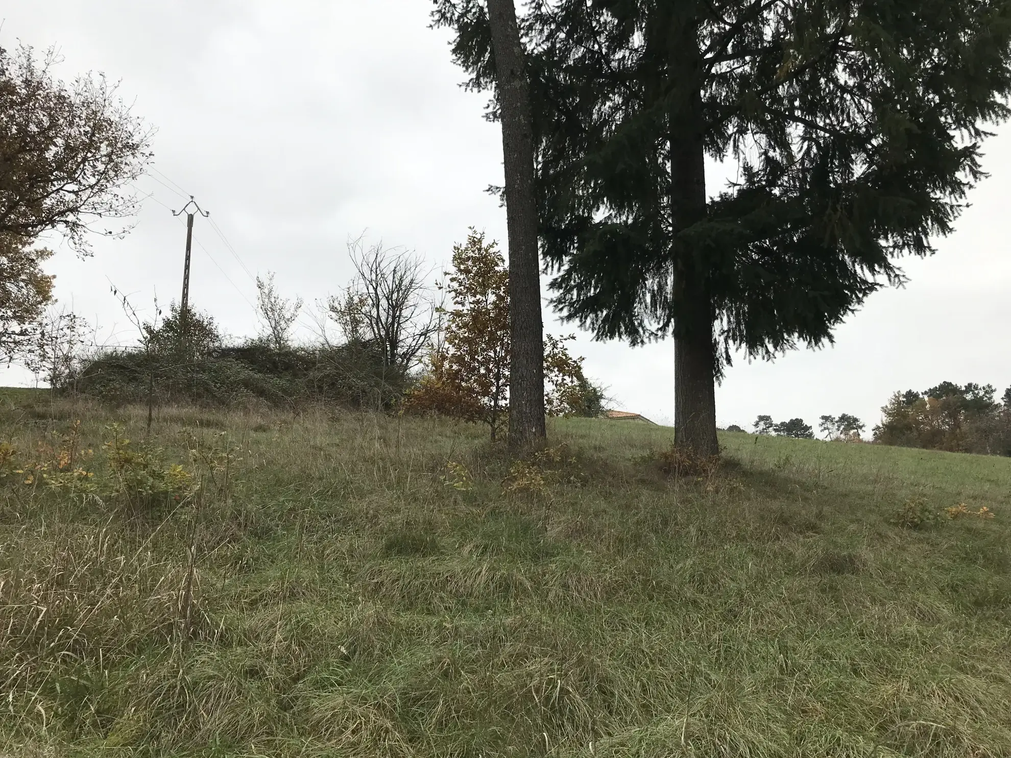 Maison de village avec 3 chambres et grand terrain dans le Périgord Vert 