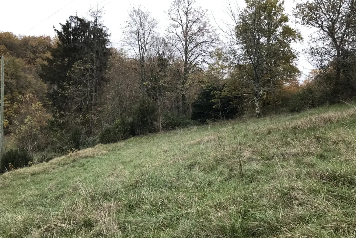 Maison de village avec 3 chambres et grand terrain dans le Périgord Vert 