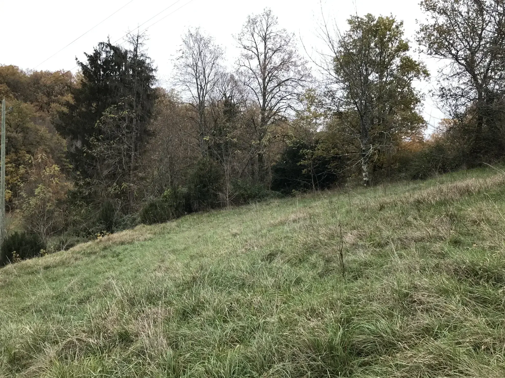 Maison de village avec 3 chambres et grand terrain dans le Périgord Vert 
