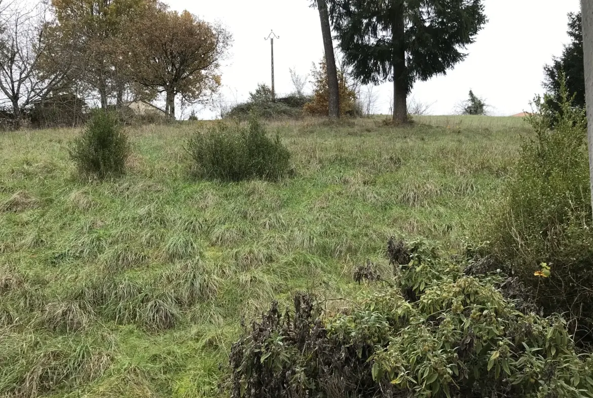 Maison de village avec 3 chambres et grand terrain dans le Périgord Vert 