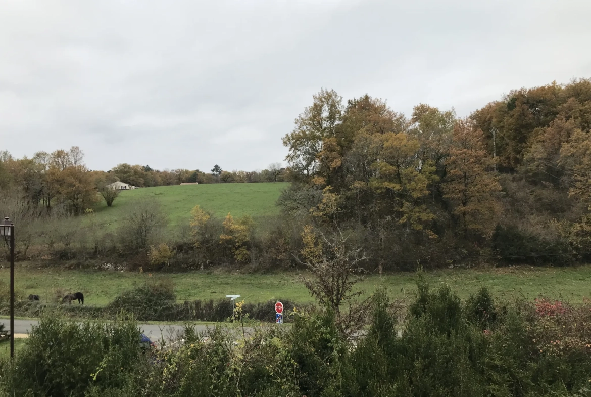 Maison de village avec 3 chambres et grand terrain dans le Périgord Vert 