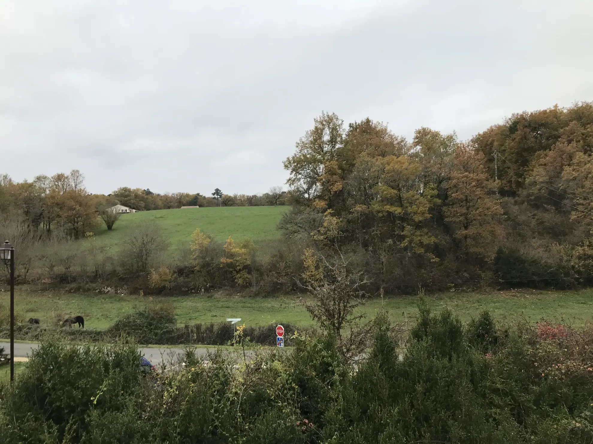 Maison de village avec 3 chambres et grand terrain dans le Périgord Vert 