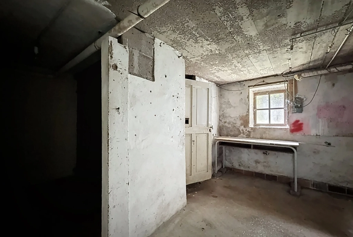 Maison individuelle à vendre à Remoncourt près de Mirecourt et Vittel avec terrain arboré 