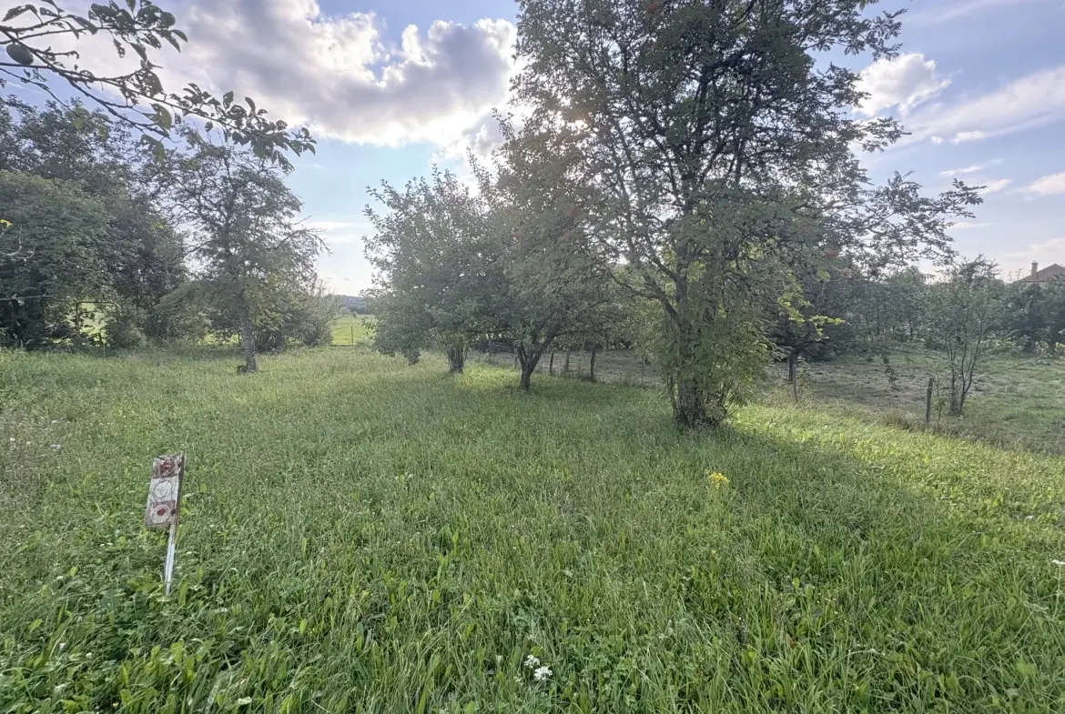 Maison de 200 m² avec 5 chambres à Villers-sous-Chalamont - Opportunité d'investissement 
