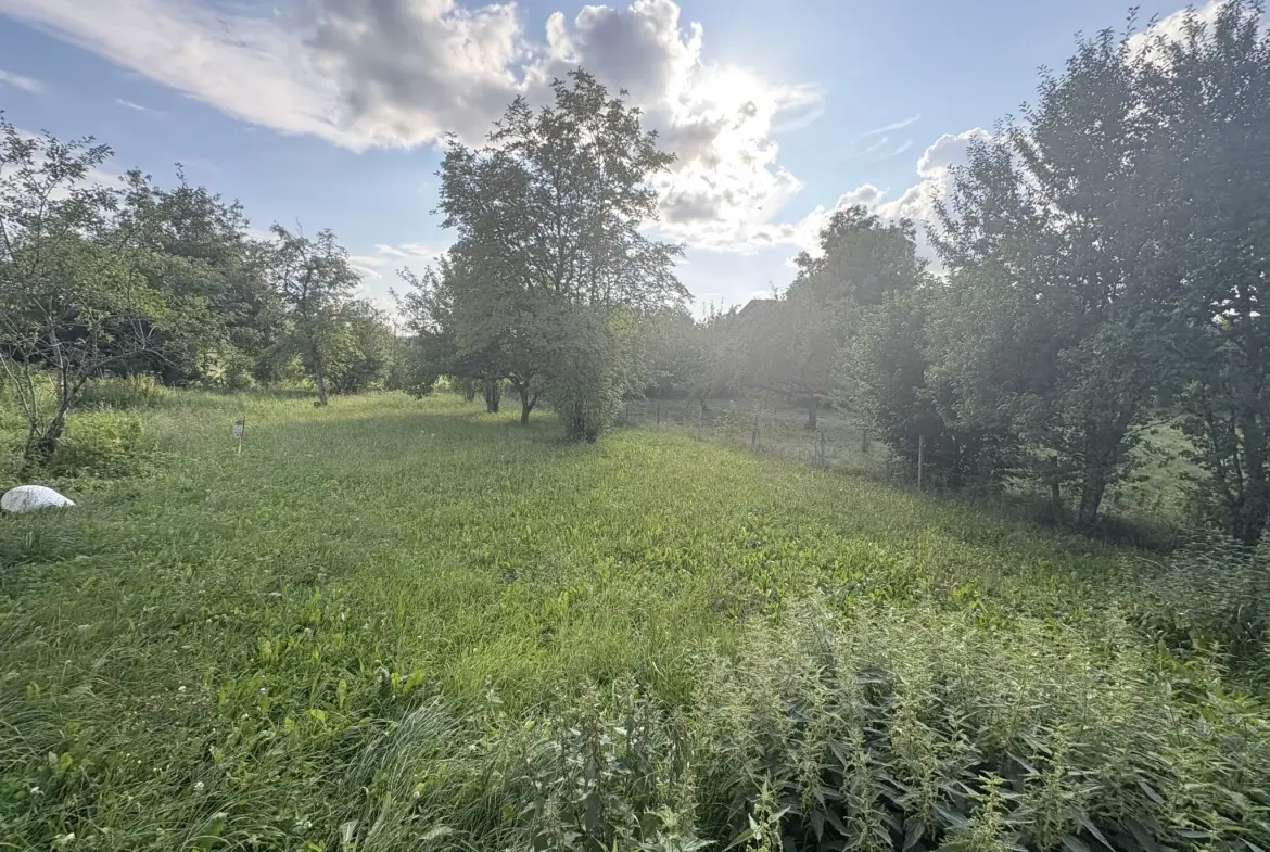 Maison de 200 m² avec 5 chambres à Villers-sous-Chalamont - Opportunité d'investissement 