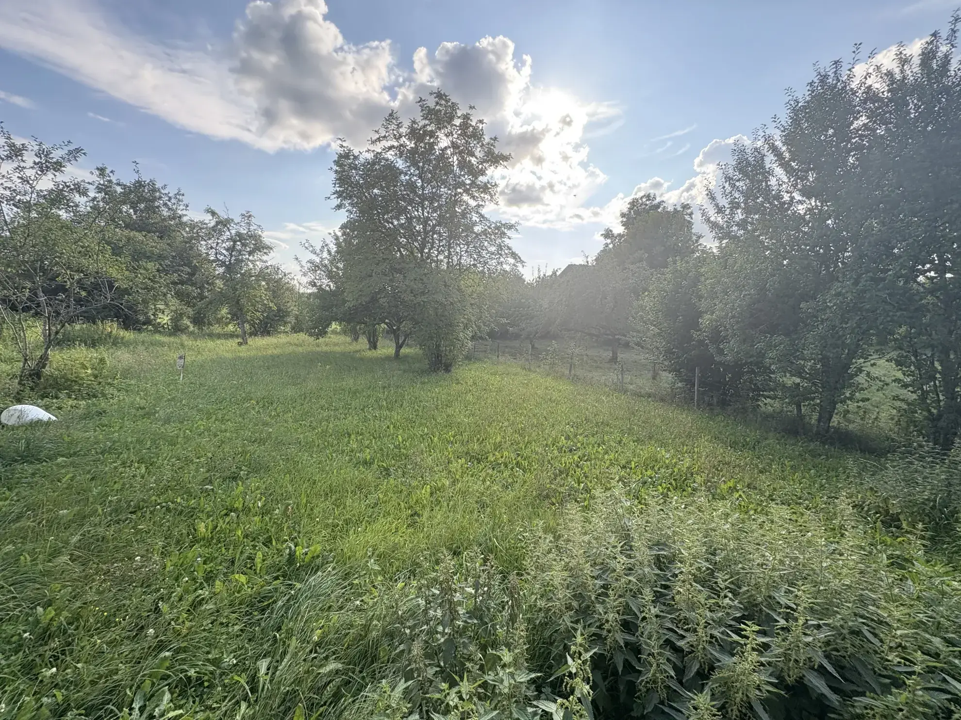 Maison de 200 m² avec 5 chambres à Villers-sous-Chalamont - Opportunité d'investissement 