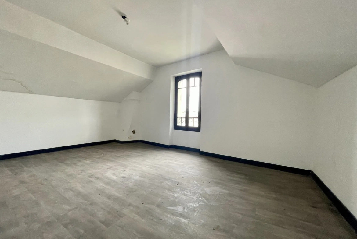 Immeuble en centre-ville de Vic-en-Bigorre de 480 m² avec jardin et parking 