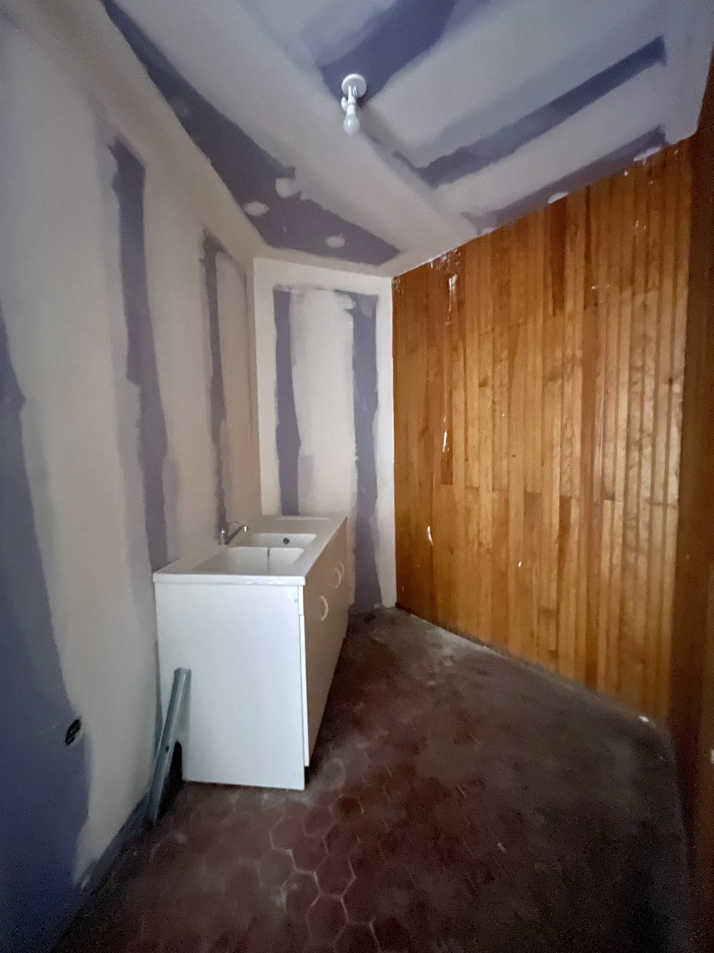 Immeuble en centre-ville de Vic-en-Bigorre de 480 m² avec jardin et parking 
