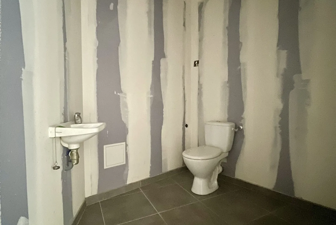 Immeuble en centre-ville de Vic-en-Bigorre de 480 m² avec jardin et parking 