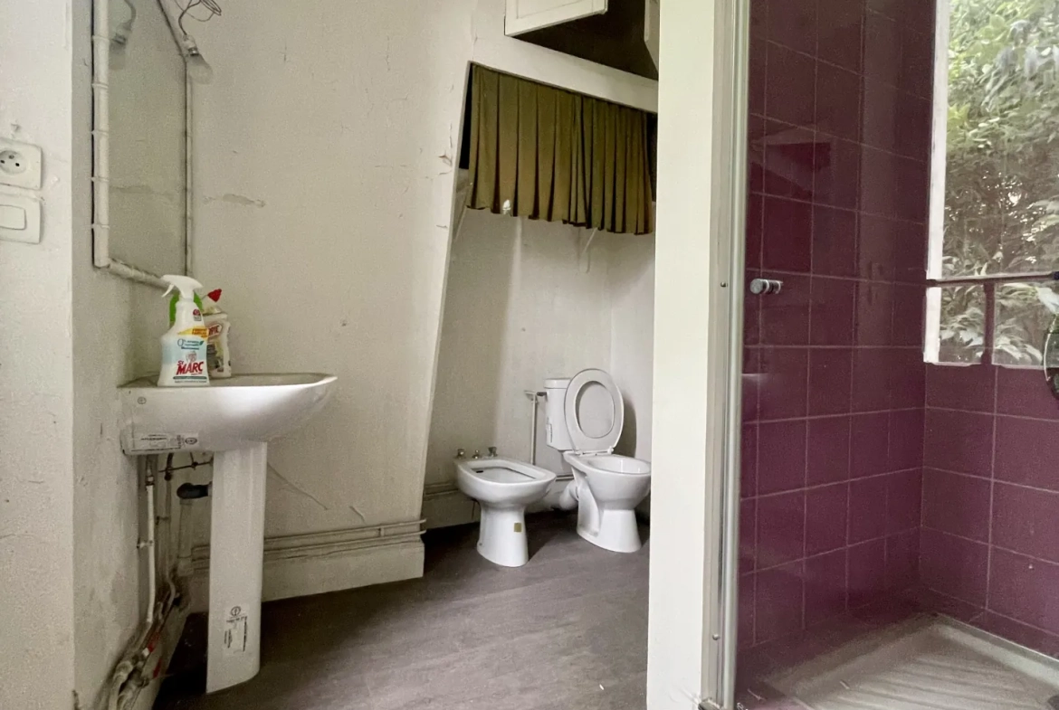 Immeuble en centre-ville de Vic-en-Bigorre de 480 m² avec jardin et parking 