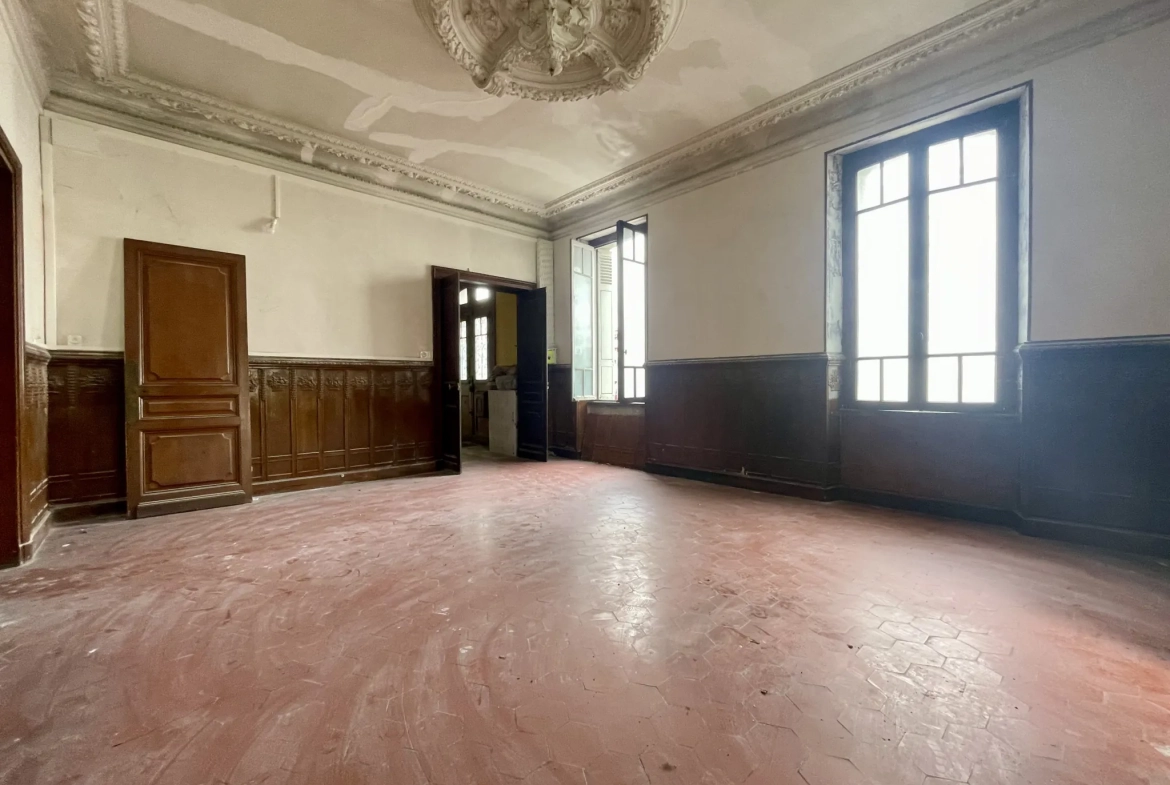 Immeuble en centre-ville de Vic-en-Bigorre de 480 m² avec jardin et parking 