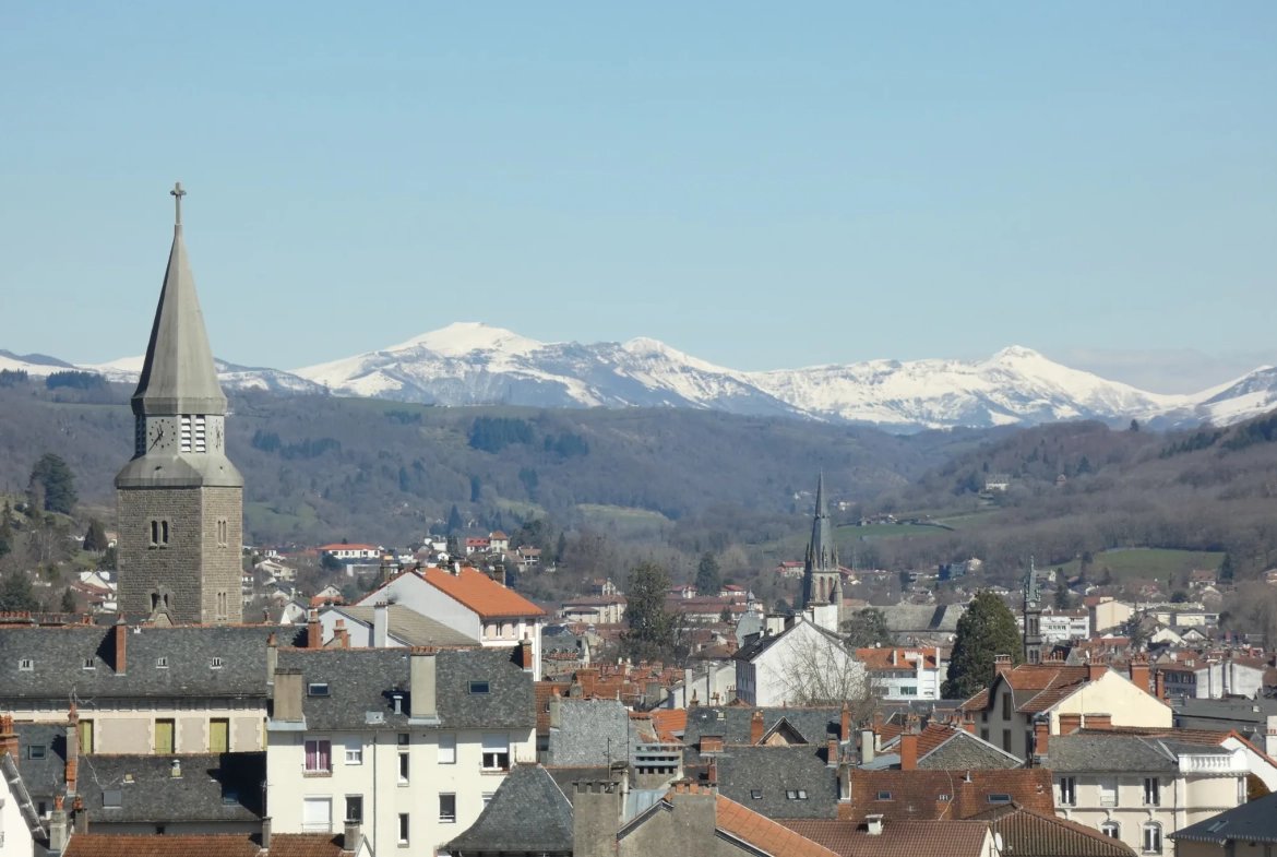 Appartement 4 pièces lumineux avec vue dégagée et garage à Aurillac 