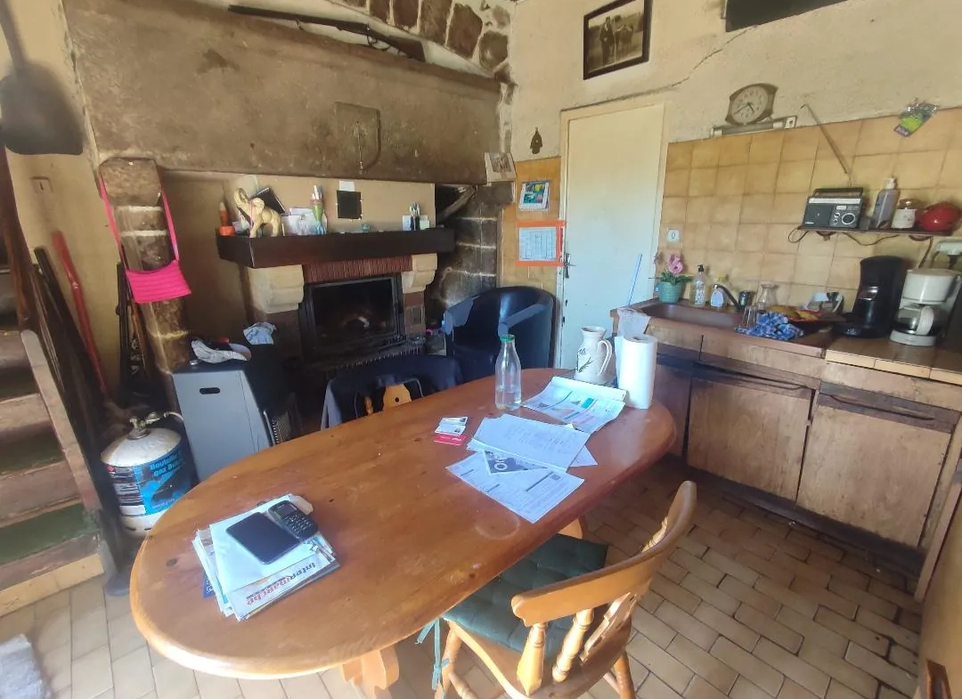 Maison de caractère avec dépendances à Saint-Féréol en vente 