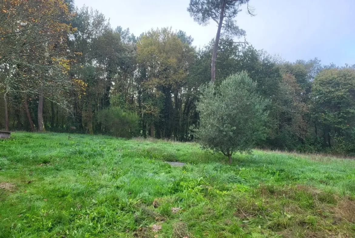 Belle maison à rénover avec grand terrain à Courpignac en campagne 
