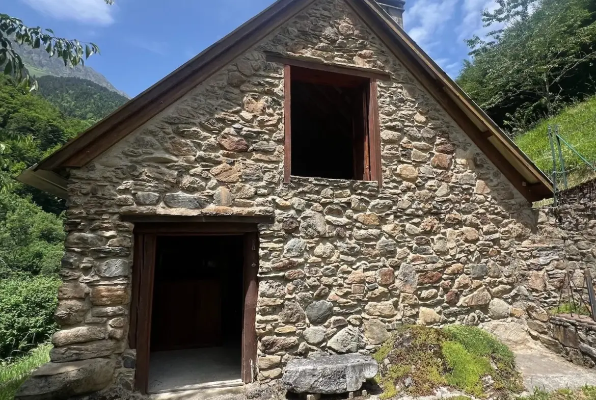 Grange Foraine en Montagne à Ancizan - Idéal pour Projet Rural ou Retraite 