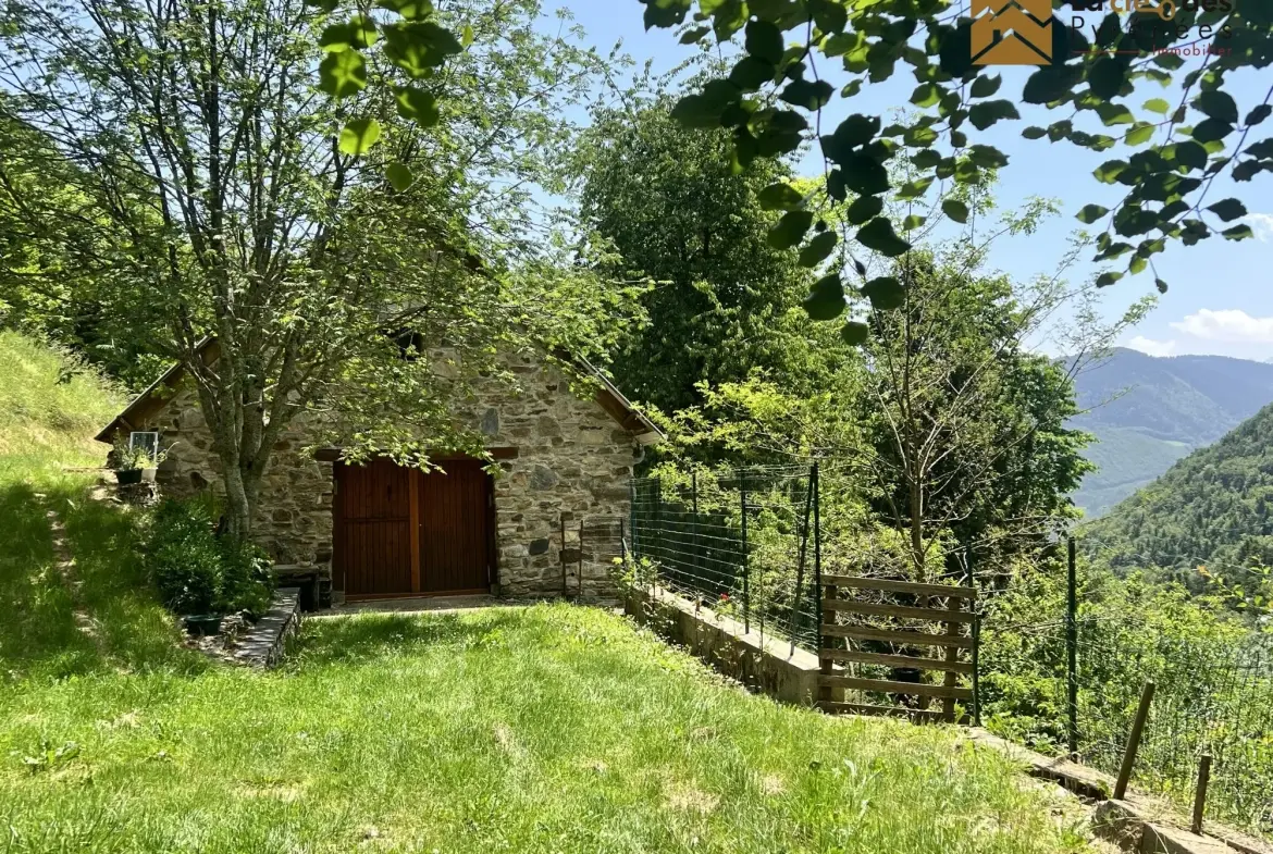 Grange Foraine en Montagne à Ancizan - Idéal pour Projet Rural ou Retraite 