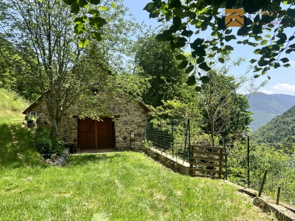 Grange Foraine en Montagne à Ancizan - Idéal pour Projet Rural ou Retraite